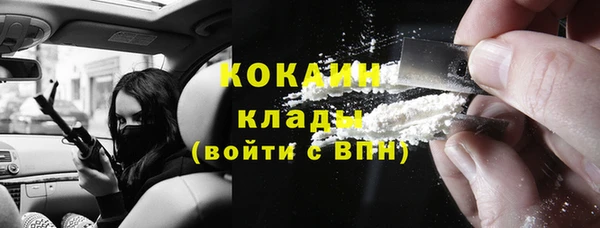 мет Алексин