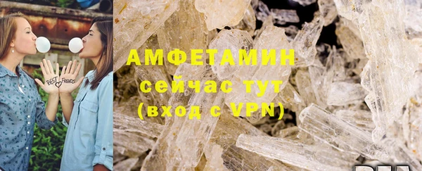 мет Алексин