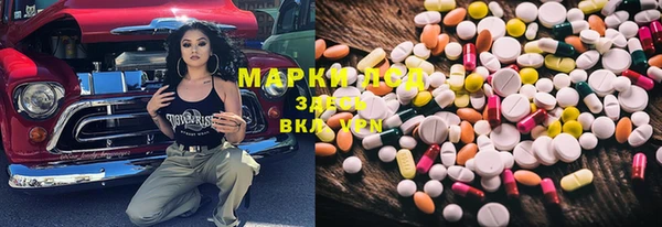 гидропоника Алзамай