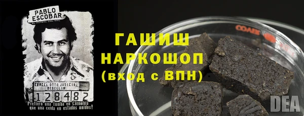 мет Алексин