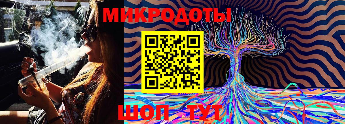 Псилоцибиновые грибы Cubensis Боровичи