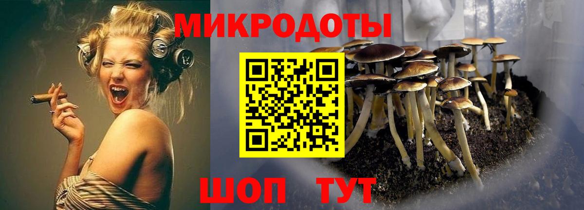 Боровичи  Галлюциногенные грибы прущие грибы  Вход с VPN 